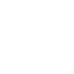 BRN logo - Hvid